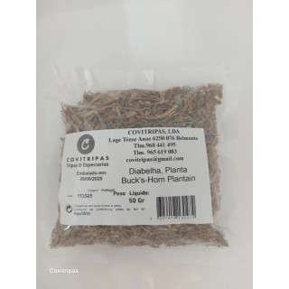 Diabelha, Planta 50 Gr